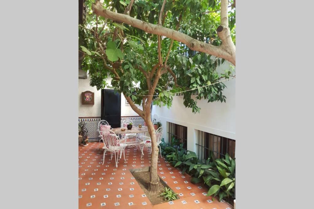 Casa En Granada Con Jardin, Facil Aparcamiento Calle Villa Buitenkant foto